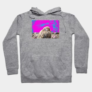 Duck pink / Swiss Artwork Photography Hoodie